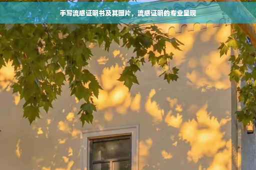 手写流感证明书及其图片，流感证明的专业呈现