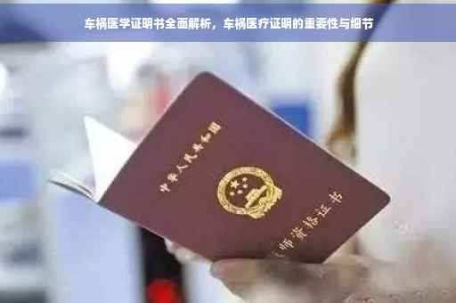 车祸医学证明书全面解析，车祸医疗证明的重要性与细节