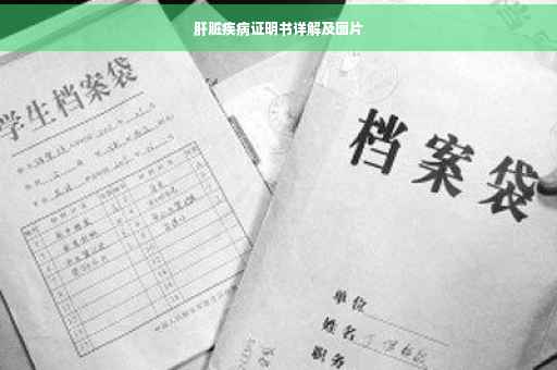 肝脏疾病证明书详解及图片