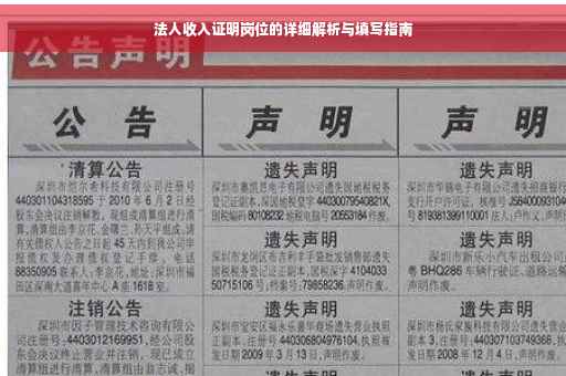 法人收入证明岗位的详细解析与填写指南