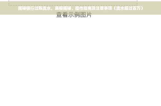 揭秘银行过账流水，真相揭秘、操作指南及注意事项（流水超过百万）
