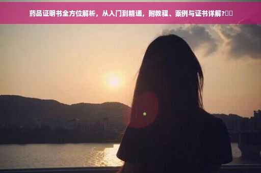 药品证明书全方位解析，从入门到精通，附教程、案例与证书详解?⚡️