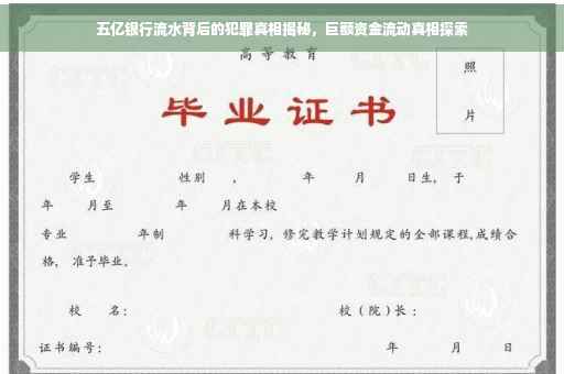 五亿银行流水背后的犯罪真相揭秘，巨额资金流动真相探索