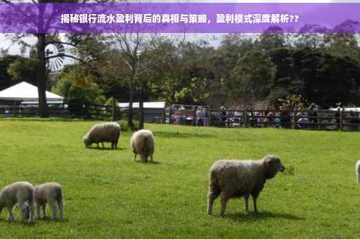 揭秘银行流水盈利背后的真相与策略，盈利模式深度解析??