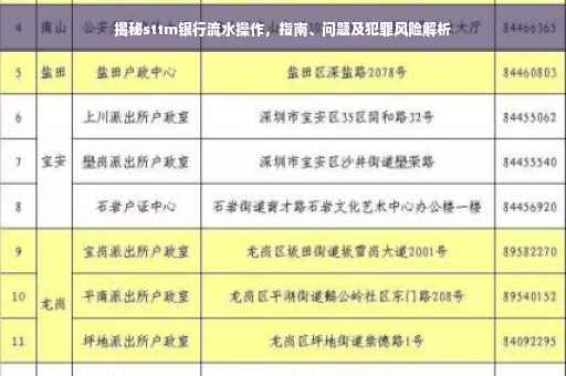 揭秘sttm银行流水操作，指南、问题及犯罪风险解析