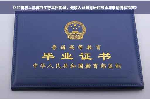 纽约低收入群体的生存真相揭秘,低收入证明背后的故事与申请流程指南? 纽约低收入群体的生存真相揭秘,低收入证明背后的故事与申请流程指南?