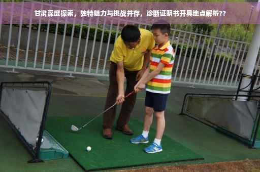 甘肃深度探索，独特魅力与挑战并存，诊断证明书开具地点解析??