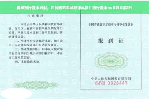 揭秘银行流水漏洞，如何防范金融欺诈风险？银行流水null含义解析！