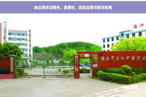单位责任证明书，重要性、实际应用与撰写指南