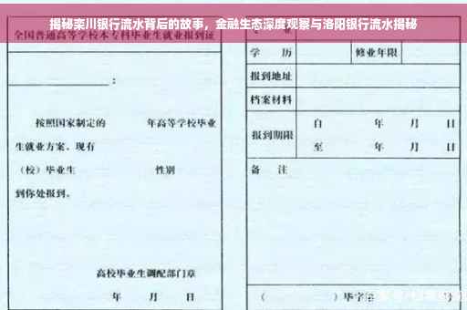 揭秘栾川银行流水背后的故事，金融生态深度观察与洛阳银行流水揭秘
