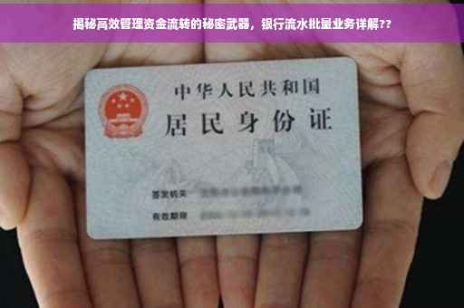 揭秘高效管理资金流转的秘密武器，银行流水批量业务详解??