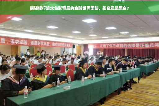揭秘银行流水色彩背后的金融世界奥秘，彩色还是黑白？