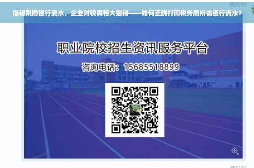 揭秘税局银行流水，企业财税真相大揭秘——如何正确打印税务局所需银行流水？