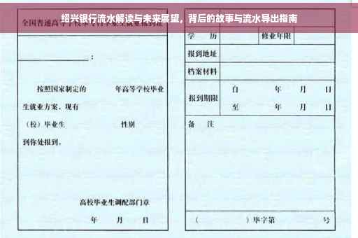 绍兴银行流水解读与未来展望，背后的故事与流水导出指南