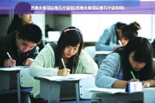 艺考大专可以考几个证书(艺考大专可以考几个证书吗)