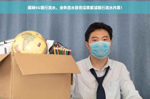 揭秘SG银行流水，业务流水报告深度解读银行流水内幕！