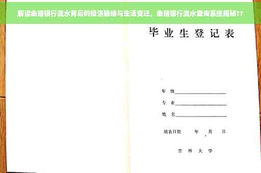 解读曲靖银行流水背后的经济脉络与生活变迁，曲靖银行流水查询系统揭秘??