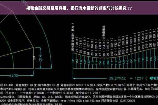 揭秘金融交易幕后真相，银行流水更新的频率与时效探究 ??
