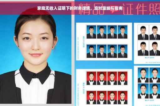 家庭无收入证明下的财务逆境，应对策略与指南