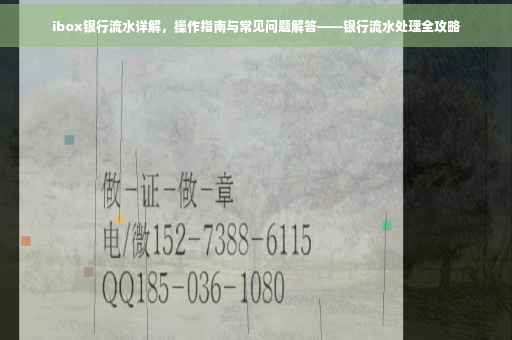 ibox银行流水详解，操作指南与常见问题解答——银行流水处理全攻略
