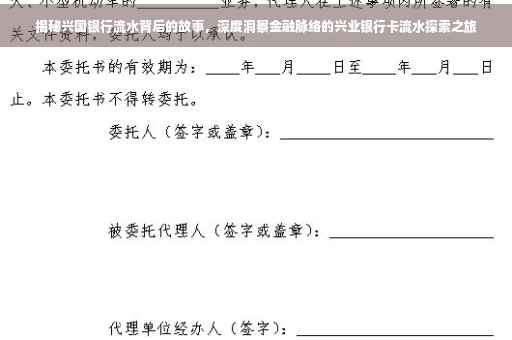 揭秘兴国银行流水背后的故事，深度洞察金融脉络的兴业银行卡流水探索之旅