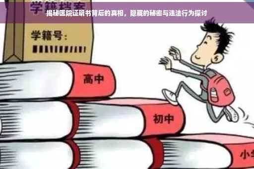 揭秘医院证明书背后的真相，隐藏的秘密与违法行为探讨