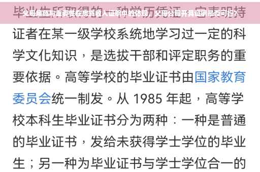 父母角色与重要性在房贷收入证明中的体现，父母公司开具证明是否可行？