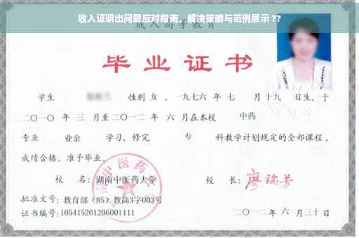 收入证明出问题应对指南，解决策略与范例展示 ??