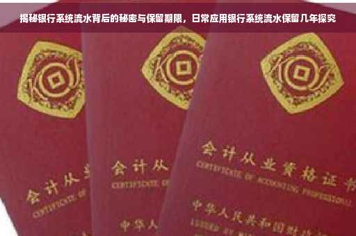揭秘银行系统流水背后的秘密与保留期限，日常应用银行系统流水保留几年探究