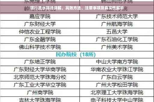 银行流水筛选详解，高效方法、注意事项及真实性解析