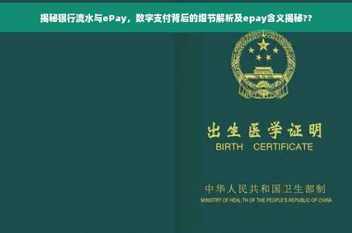 揭秘银行流水与ePay，数字支付背后的细节解析及epay含义揭秘??