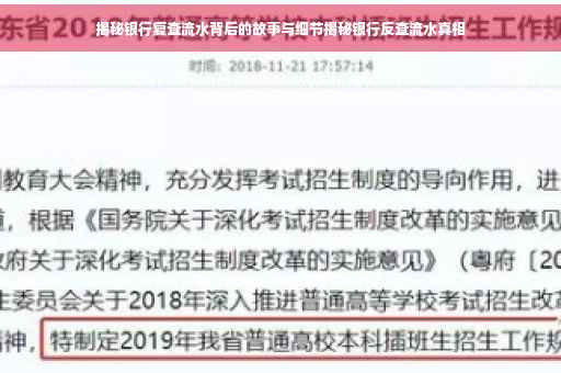 揭秘银行复查流水背后的故事与细节揭秘银行反查流水真相