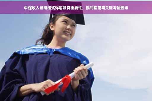 中保收入证明格式详解及其重要性，撰写指南与关键考量因素