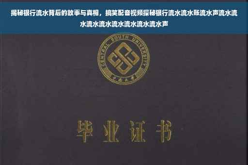 揭秘银行流水背后的故事与真相，搞笑配音视频探秘银行流水流水账流水声流水流水流水流水流水流水流水流水声
