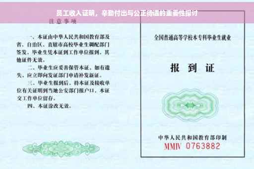 员工收入证明，辛勤付出与公正待遇的重要性探讨
