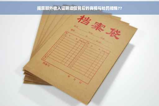 揭露额外收入证明造假背后的真相与处罚措施??