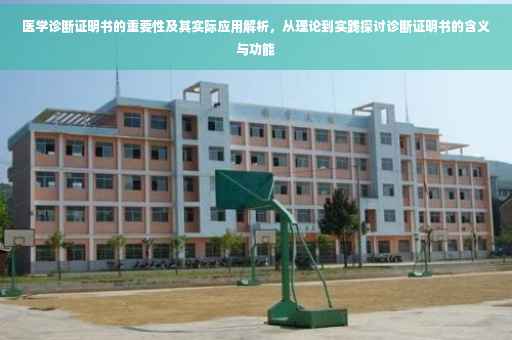 医学诊断证明书的重要性及其实际应用解析，从理论到实践探讨诊断证明书的含义与功能