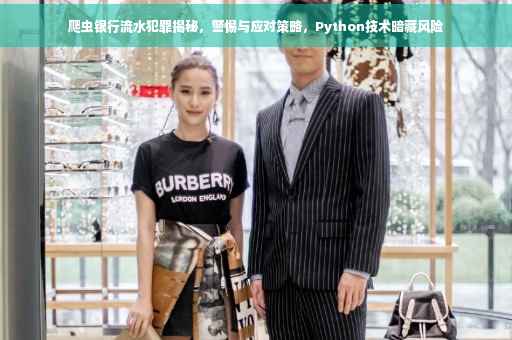 爬虫银行流水犯罪揭秘，警惕与应对策略，Python技术暗藏风险
