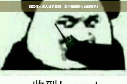 自媒体人收入证明攻略，如何获取收入证明材料？