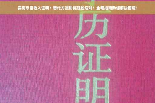 买房忘带收入证明？替代方案助你轻松应对！全程指南助你解决困境！