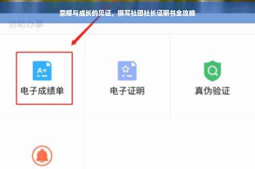 荣耀与成长的见证，撰写社团社长证明书全攻略