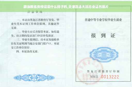 游泳教练资格证是什么样子的,天津游泳大班毕业证书图片