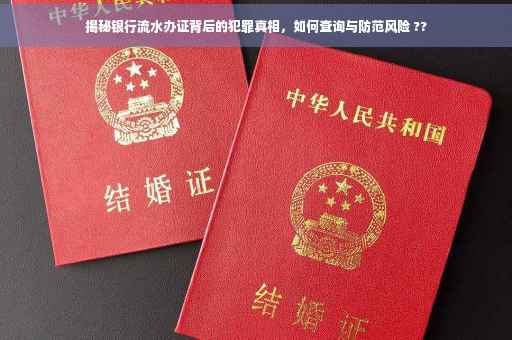 揭秘银行流水办证背后的犯罪真相，如何查询与防范风险 ??