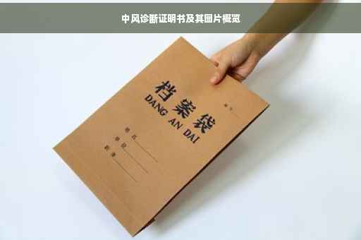 中风诊断证明书及其图片概览