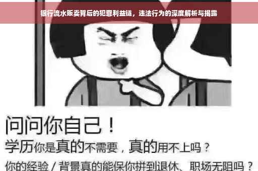 银行流水贩卖背后的犯罪利益链，违法行为的深度解析与揭露