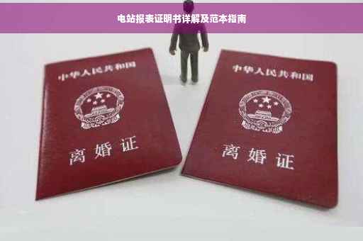 电站报表证明书详解及范本指南