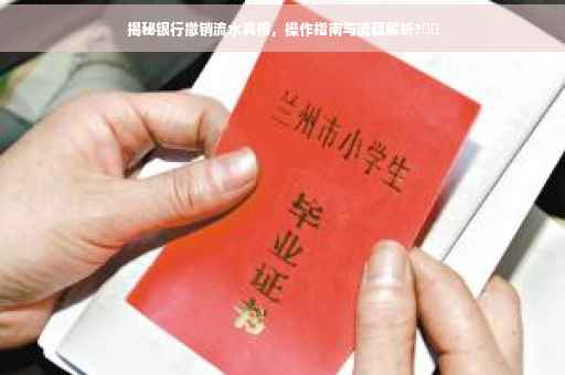 揭秘银行撤销流水真相，操作指南与流程解析?⚡️