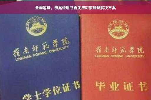 全面解析，档案证明书丢失应对策略及解决方案