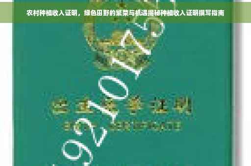 农村种植收入证明，绿色田野的繁荣与机遇揭秘种植收入证明撰写指南