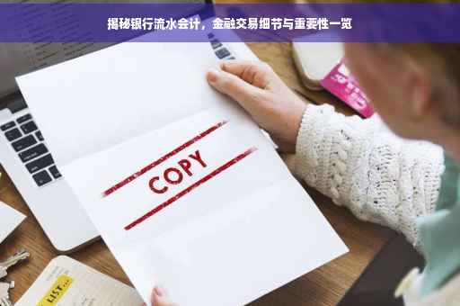 揭秘银行流水会计，金融交易细节与重要性一览